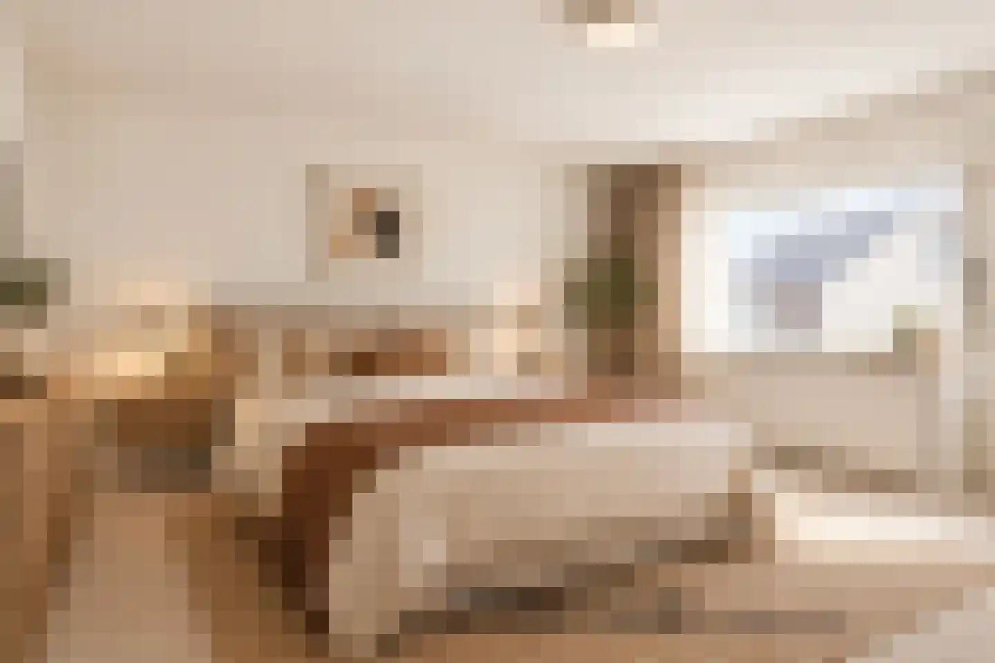 Galgeplek 10 Elst thumbnail 24
