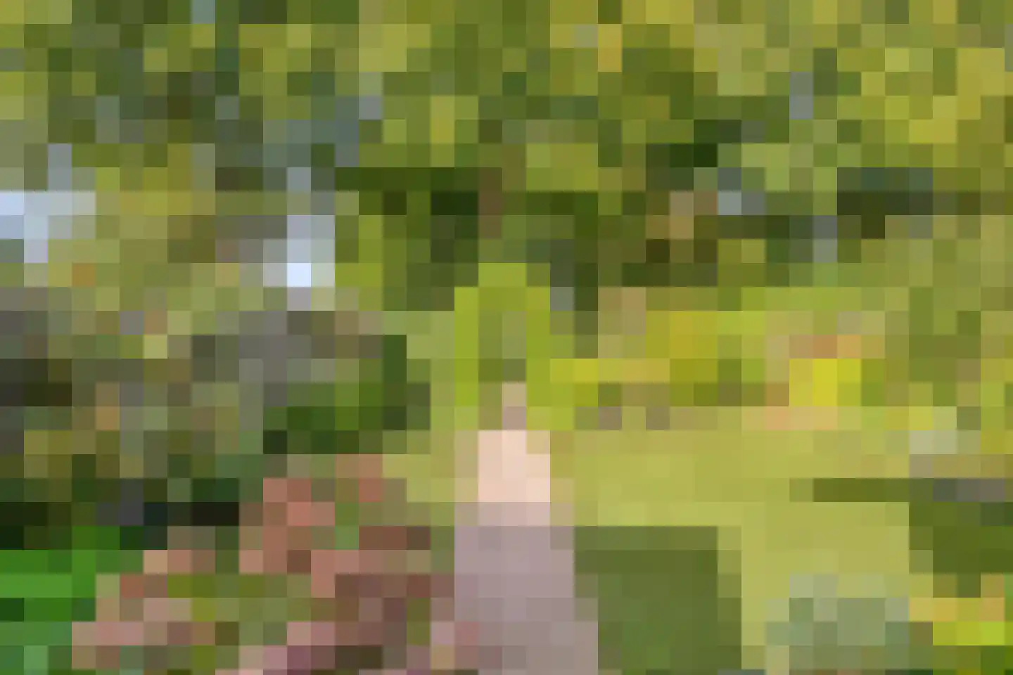 Galgeplek 10 Elst thumbnail 44