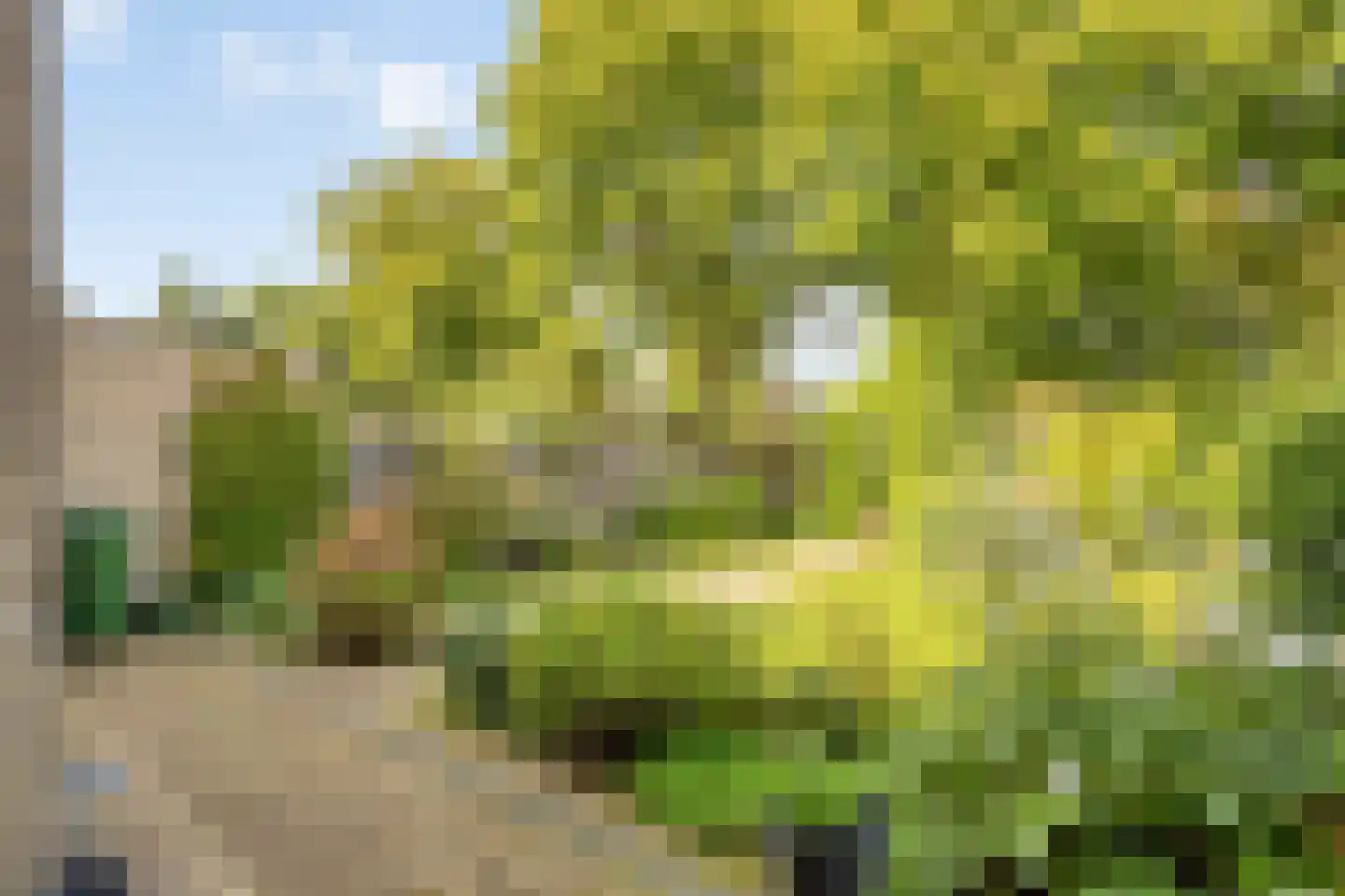 Galgeplek 10 Elst thumbnail 45