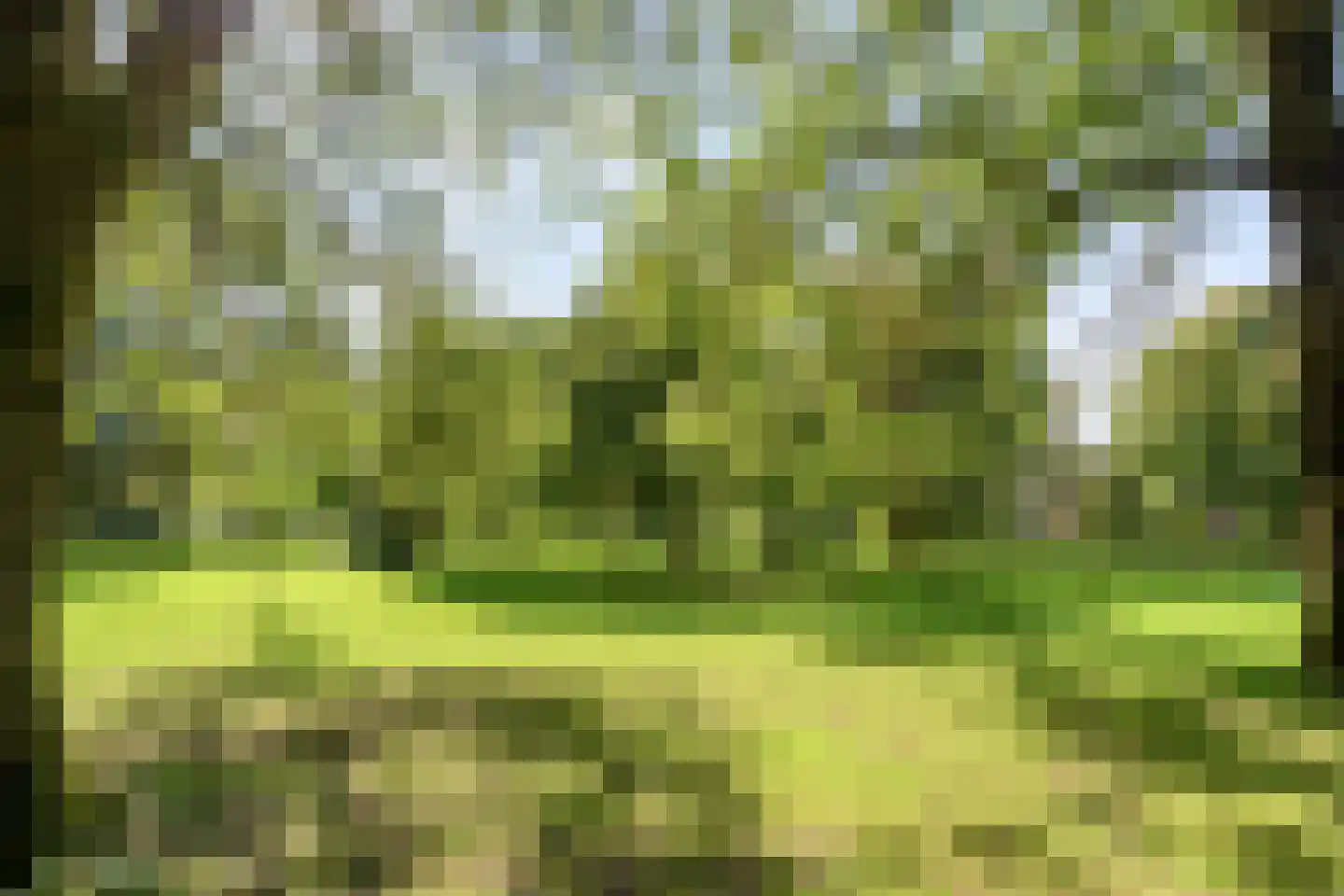 Galgeplek 10 Elst thumbnail 51
