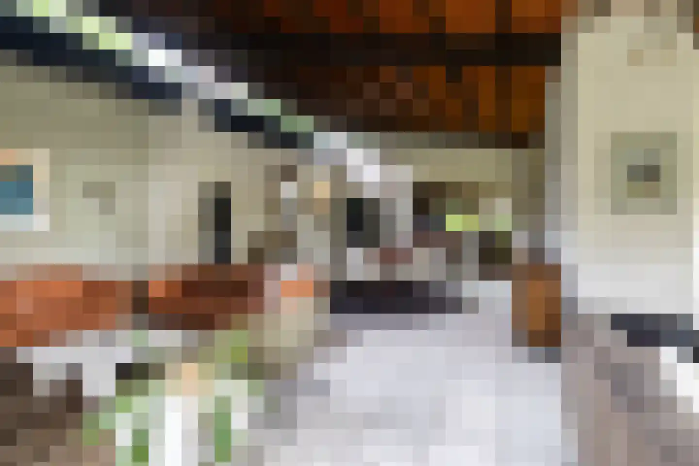 Galgestraat 1 A Teteringen thumbnail 16