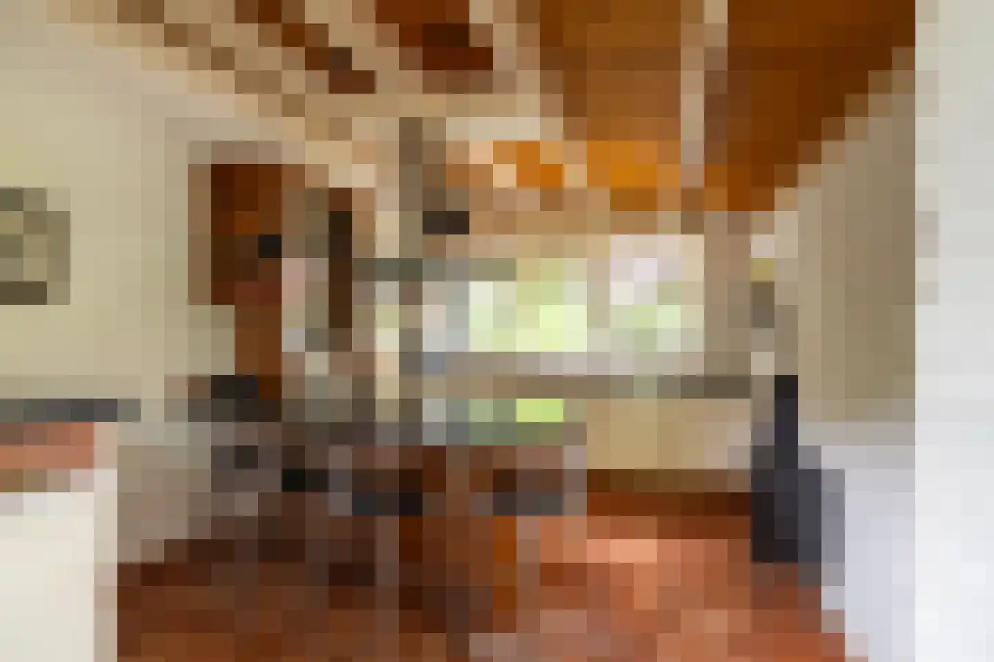 Galgestraat 1 A Teteringen thumbnail 18