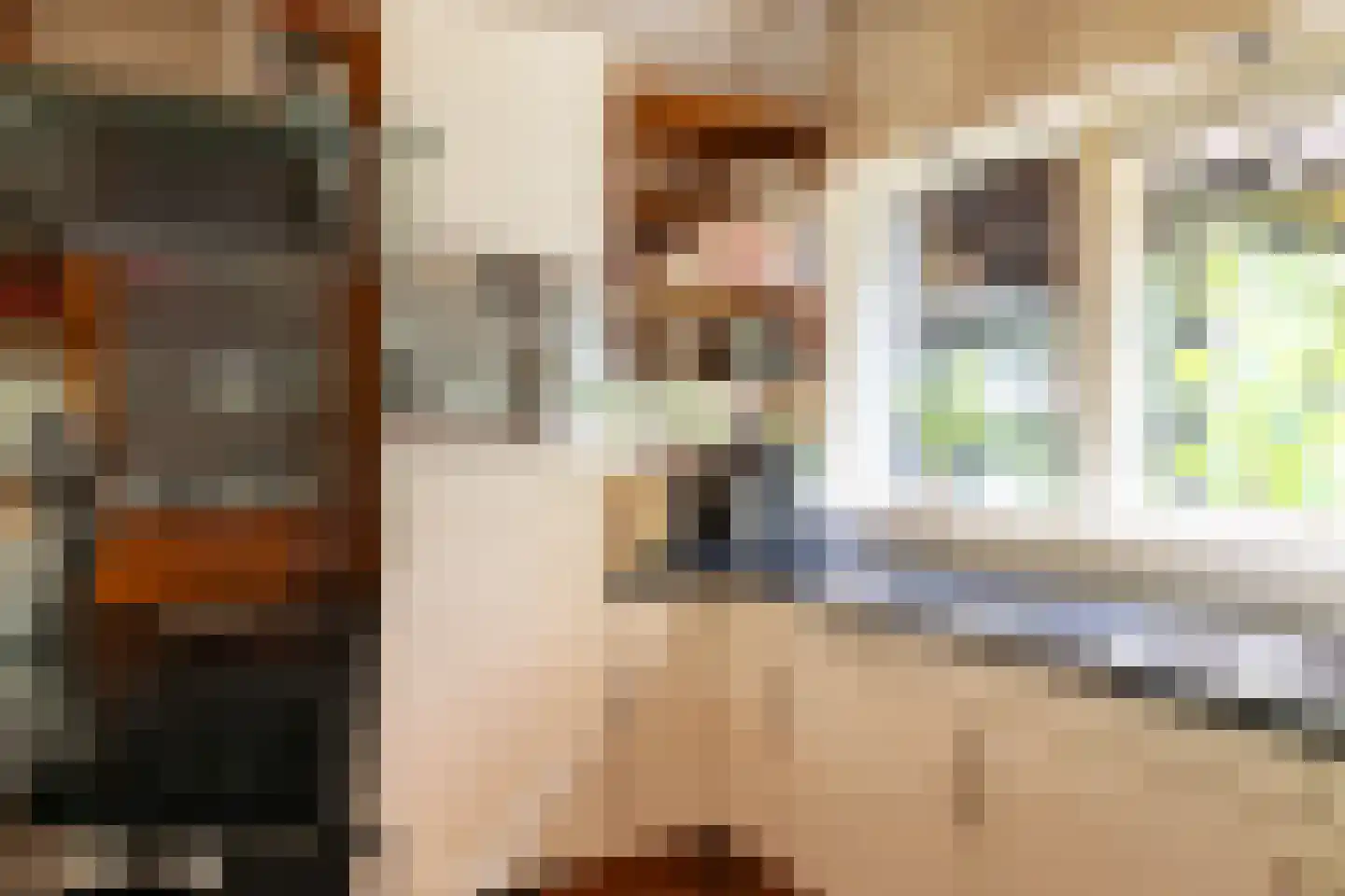 Galgestraat 1 A Teteringen thumbnail 20