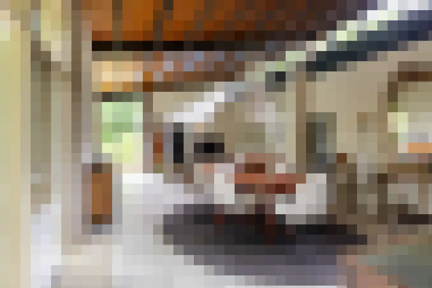 Galgestraat 1 A Teteringen thumbnail 23