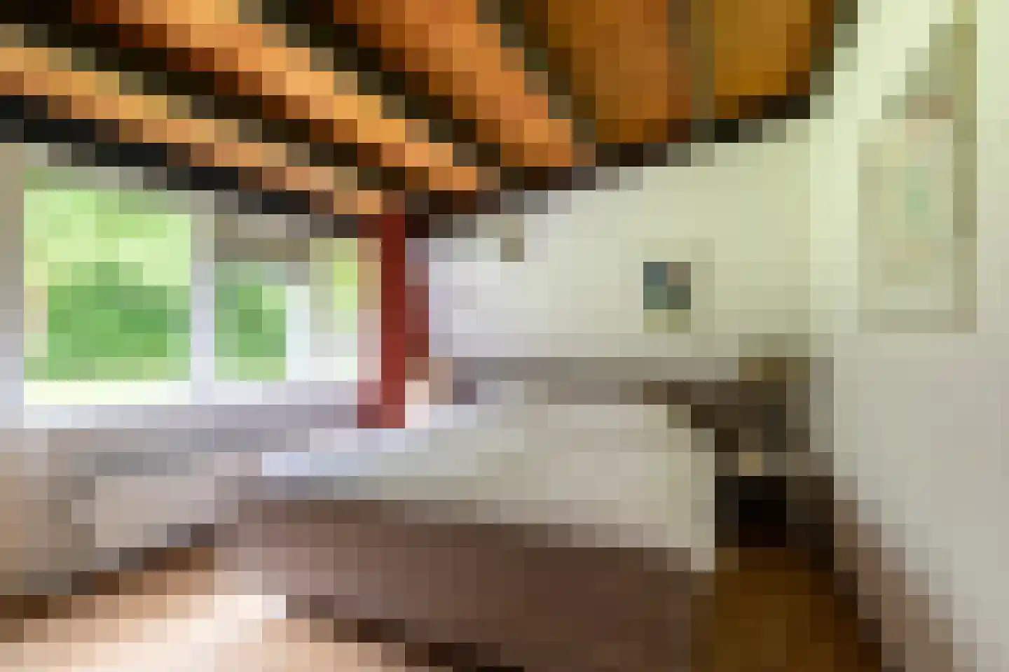Galgestraat 1 A Teteringen thumbnail 25