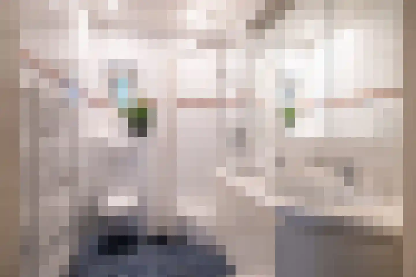 Galgestraat 1 A Teteringen thumbnail 38