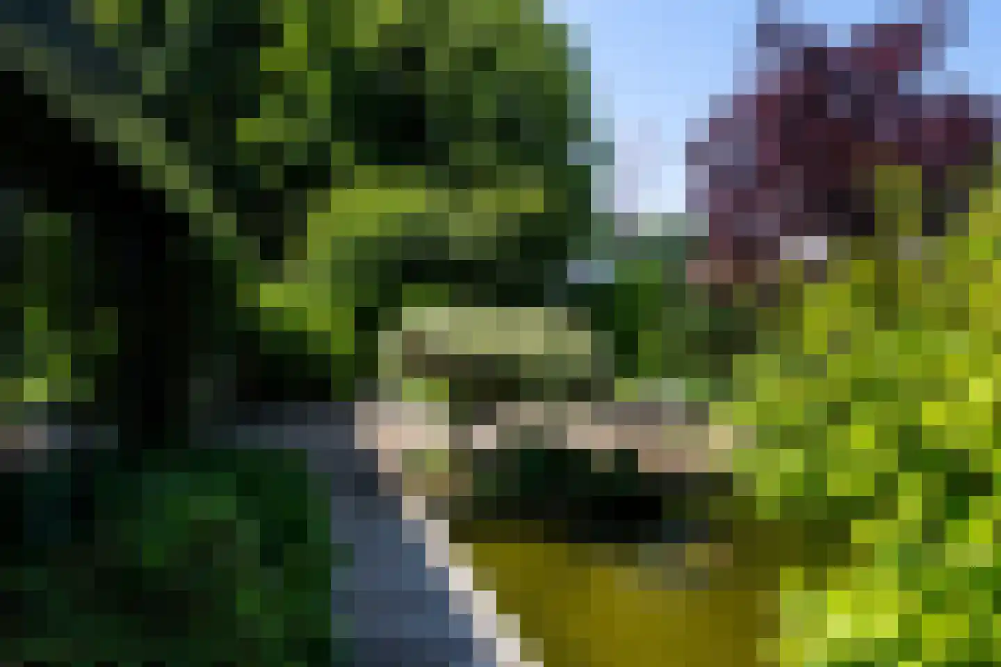 Galgestraat 1 A Teteringen thumbnail 42