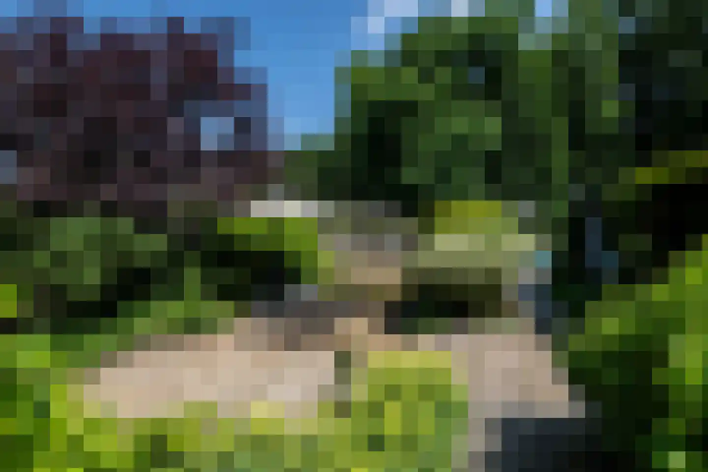 Galgestraat 1 A Teteringen thumbnail 44