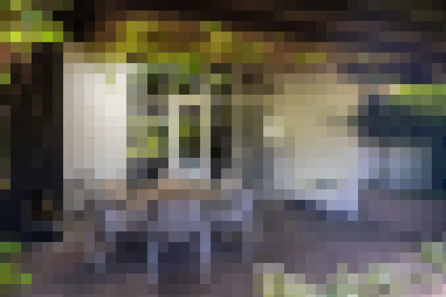 Galgestraat 1 A Teteringen thumbnail 49