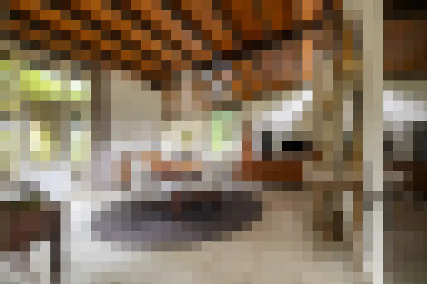 Galgestraat 1 A Teteringen thumbnail 6