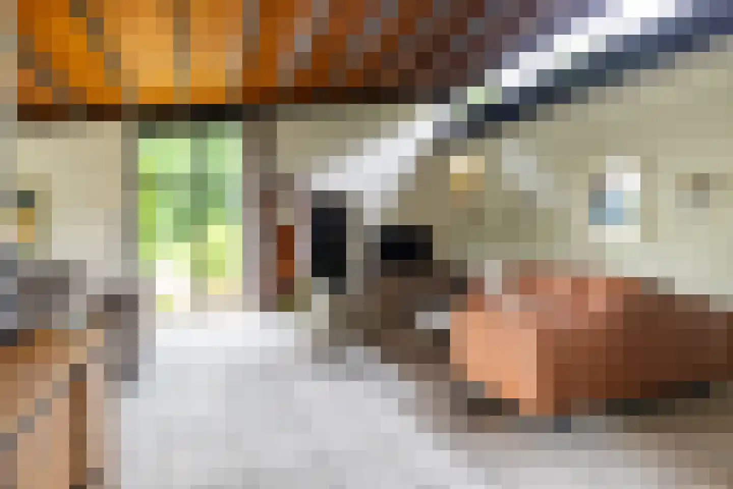 Galgestraat 1 A Teteringen thumbnail 7