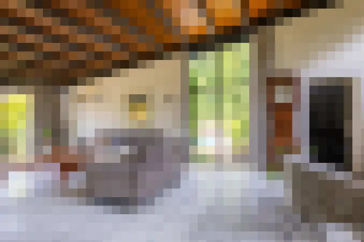 Galgestraat 1 A Teteringen thumbnail 8