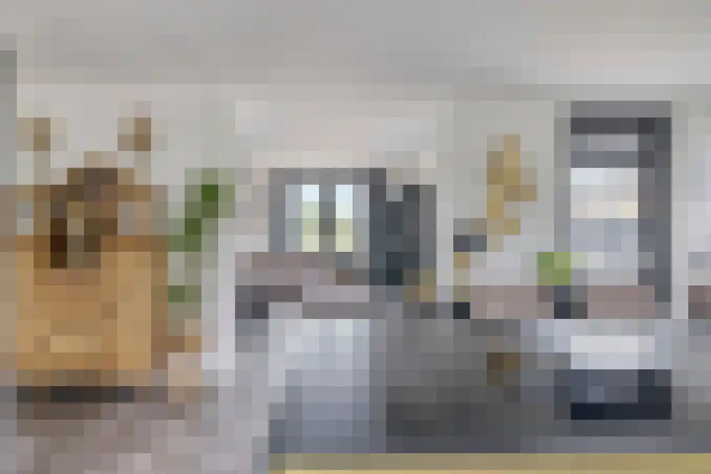 Galgestraat 3 Oudenbosch thumbnail 18