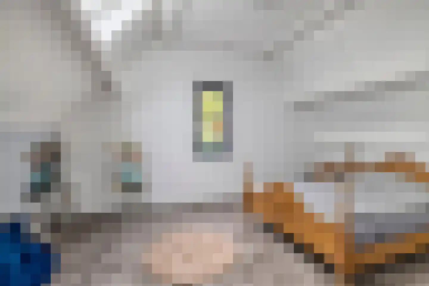 Galgestraat 3 Oudenbosch thumbnail 28