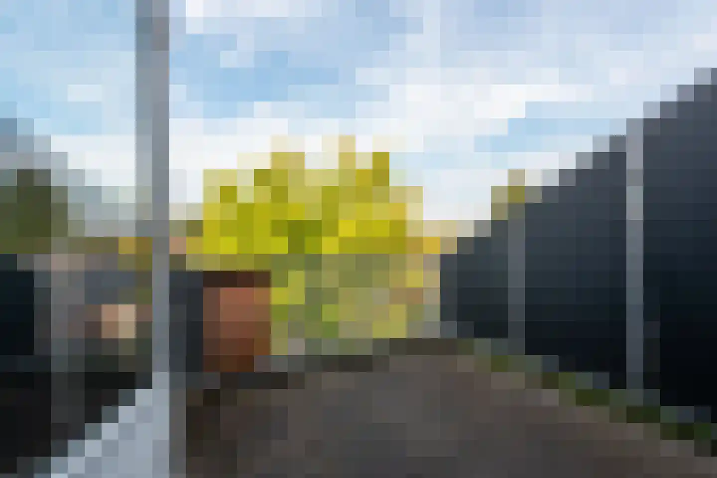 Galgeveld 15 Zeist thumbnail 43