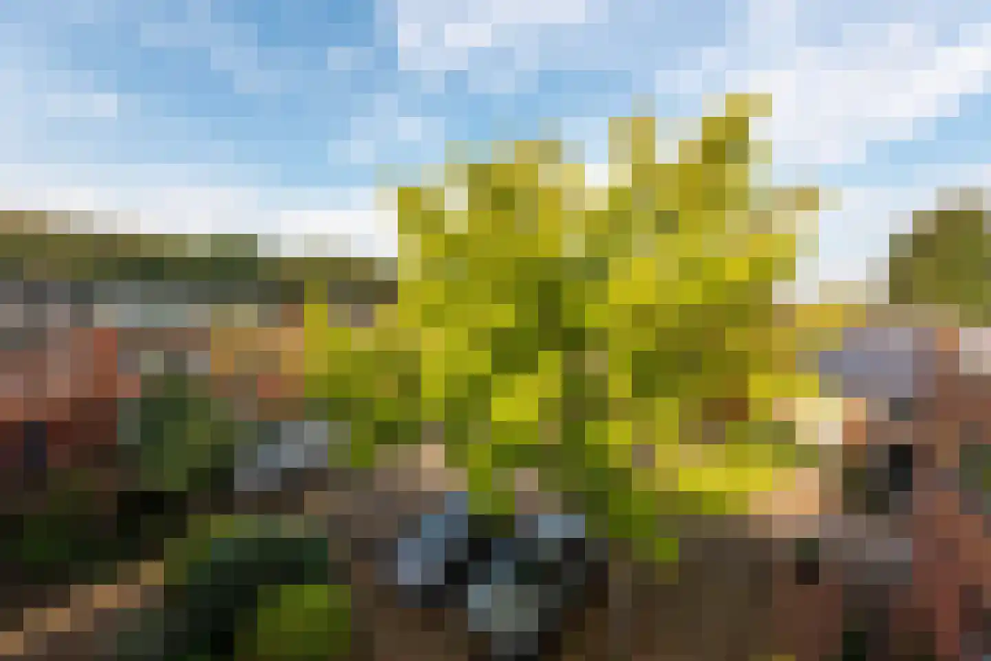 Galgeveld 15 Zeist thumbnail 45