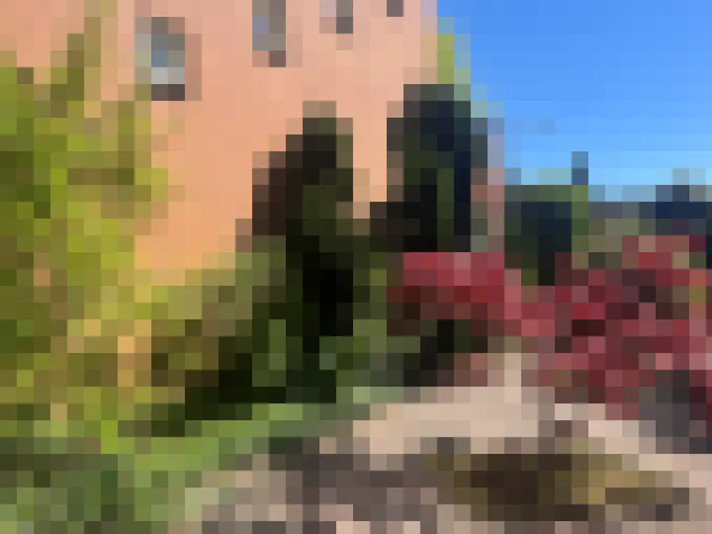 Galgeveld 8 Zeist thumbnail 6