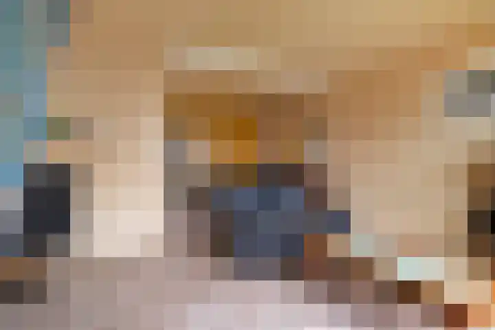Galgeweg 72 Naaldwijk thumbnail 6