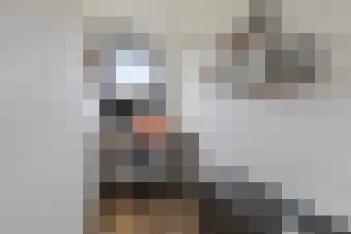Galiahof 22 Zuidoostbeemster thumbnail 20