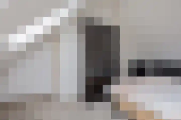 Galiahof 22 Zuidoostbeemster thumbnail 24