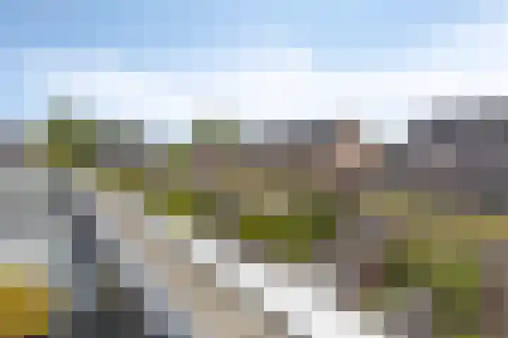 Galiahof 22 Zuidoostbeemster thumbnail 28