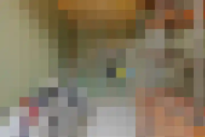 Galiahof 22 Zuidoostbeemster thumbnail 29