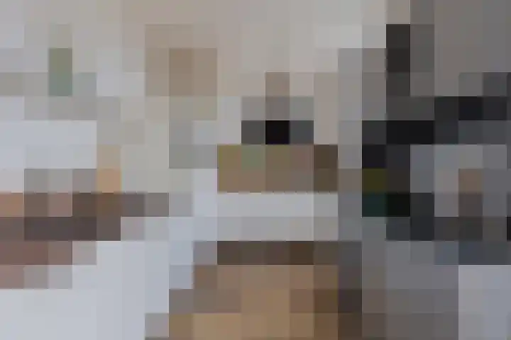 Galiahof 22 Zuidoostbeemster thumbnail 4