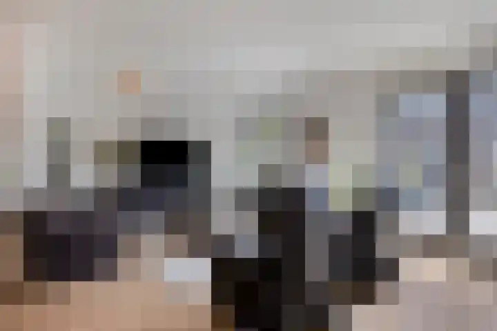 Galiahof 8 Zuidoostbeemster thumbnail 10