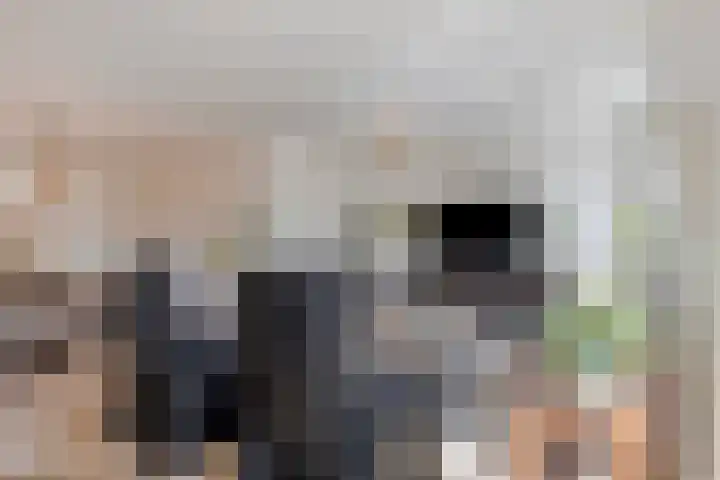 Galiahof 8 Zuidoostbeemster thumbnail 12
