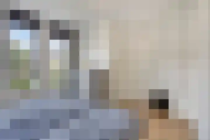 Galiahof 8 Zuidoostbeemster thumbnail 16