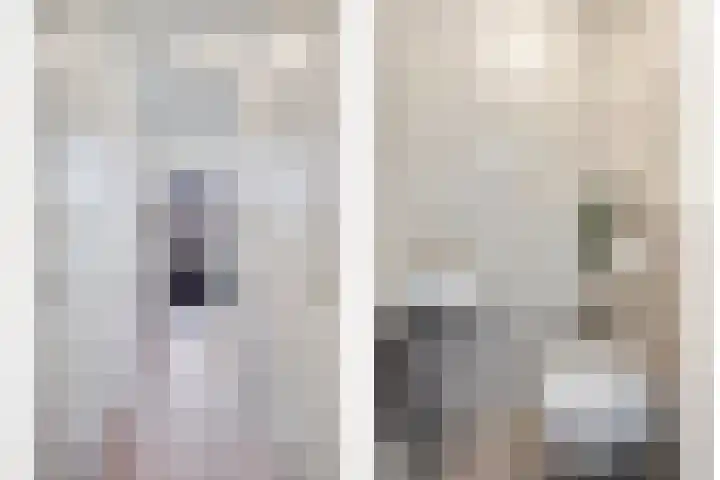 Galiahof 8 Zuidoostbeemster thumbnail 19