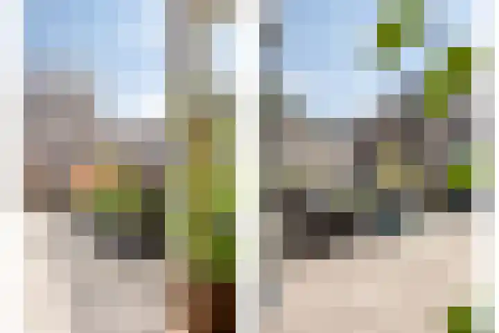 Galiahof 8 Zuidoostbeemster thumbnail 21