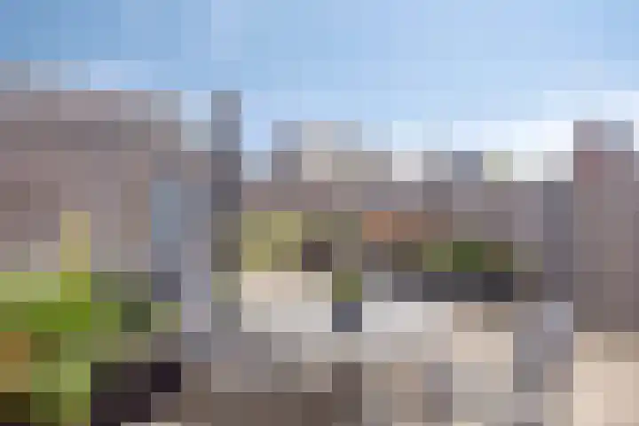 Galiahof 8 Zuidoostbeemster thumbnail 24