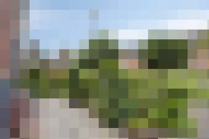 Galiahof 8 Zuidoostbeemster thumbnail 28