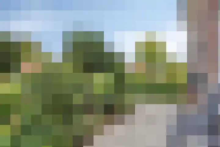 Galiahof 8 Zuidoostbeemster thumbnail 29
