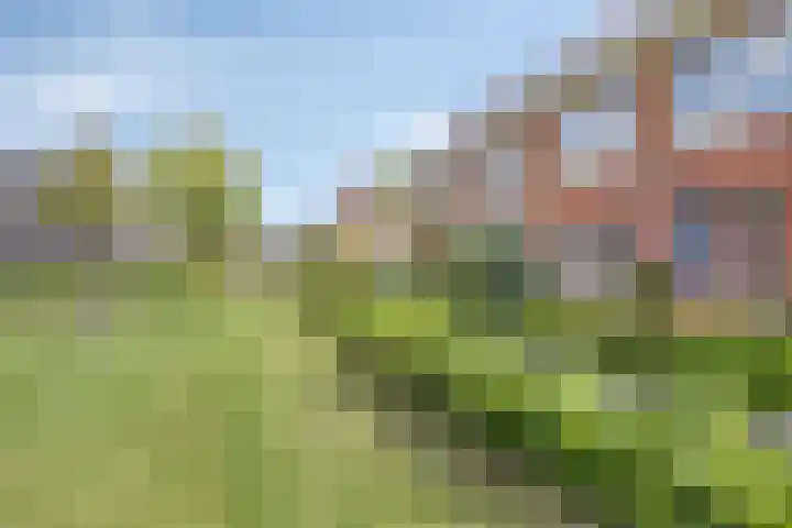 Galiahof 8 Zuidoostbeemster thumbnail 31
