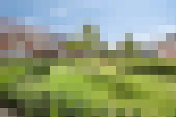 Galiahof 8 Zuidoostbeemster thumbnail 33