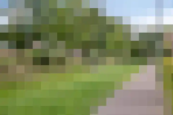 Galiahof 8 Zuidoostbeemster thumbnail 35
