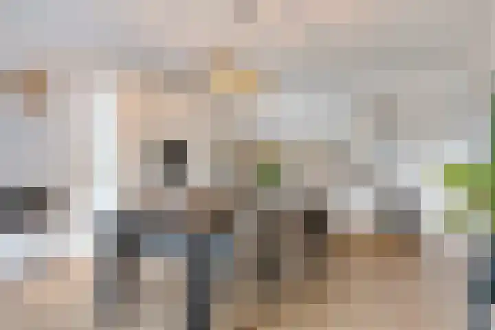 Galiahof 8 Zuidoostbeemster thumbnail 4
