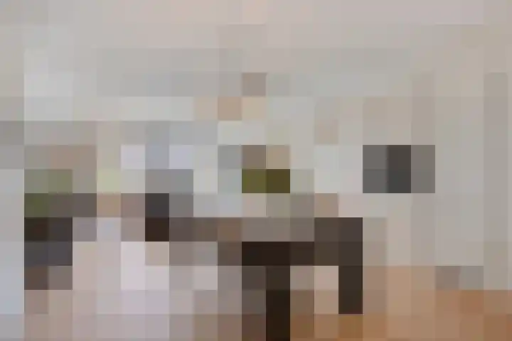 Galiahof 8 Zuidoostbeemster thumbnail 7