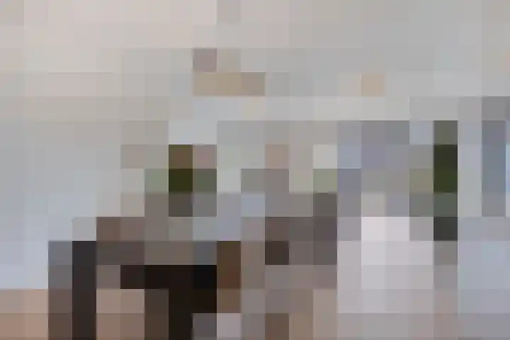 Galiahof 8 Zuidoostbeemster thumbnail 8