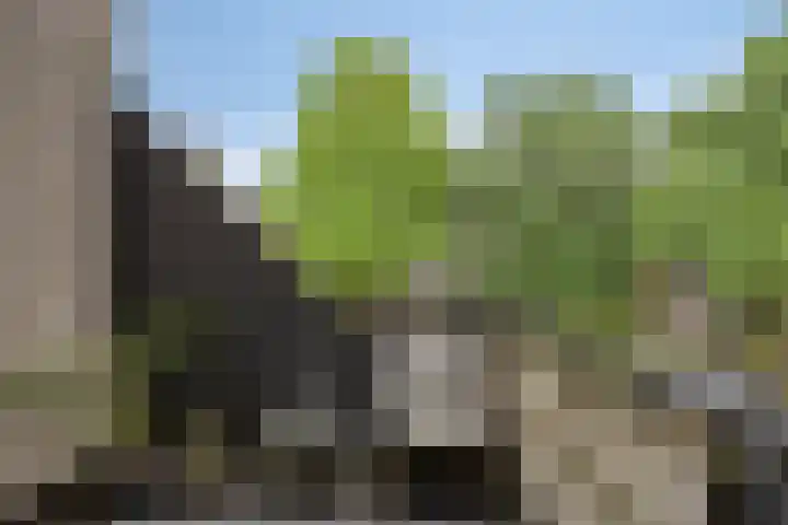 Galicië 14 Leusden thumbnail 15