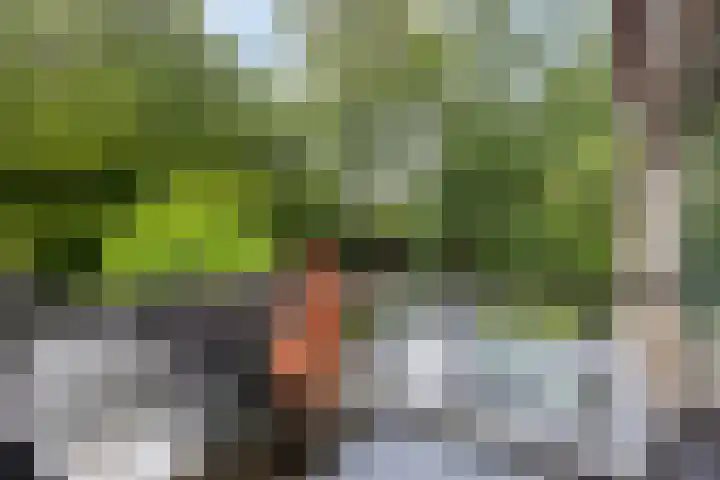 Galicië 14 Leusden thumbnail 17