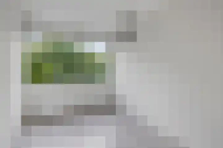Galicië 14 Leusden thumbnail 28