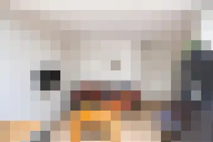 Galicië 14 Leusden thumbnail 31