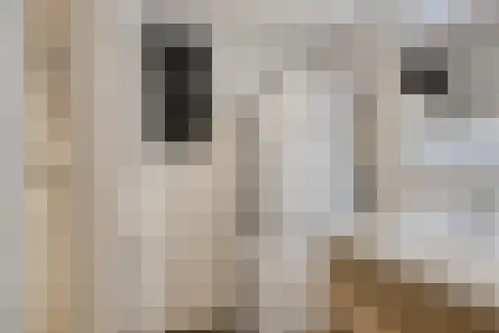 Galicië 14 Leusden thumbnail 40
