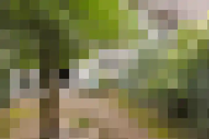 Galicië 14 Leusden thumbnail 43