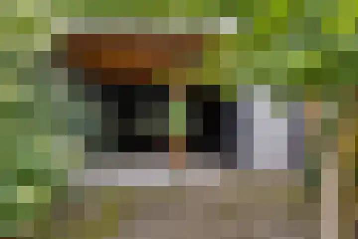 Galicië 14 Leusden thumbnail 44