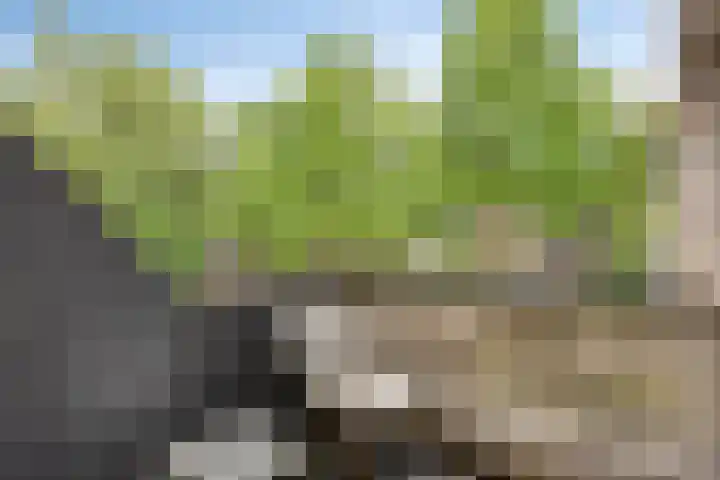 Galicië 14 Leusden thumbnail 48
