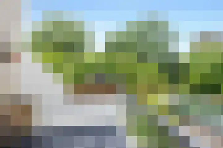 Galicië 22 Leusden thumbnail 10